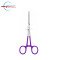 6" Straight Artery Forceps – Purple Powder Coated Handle | Stainless Steel Nursing Instruments