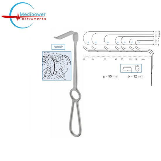 Obwegeser Soft Tissue Retractor,23cm, Working Length (a = 55mm), (Width b = 12mm), (Curved Up)