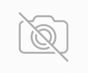 Dental Instruments